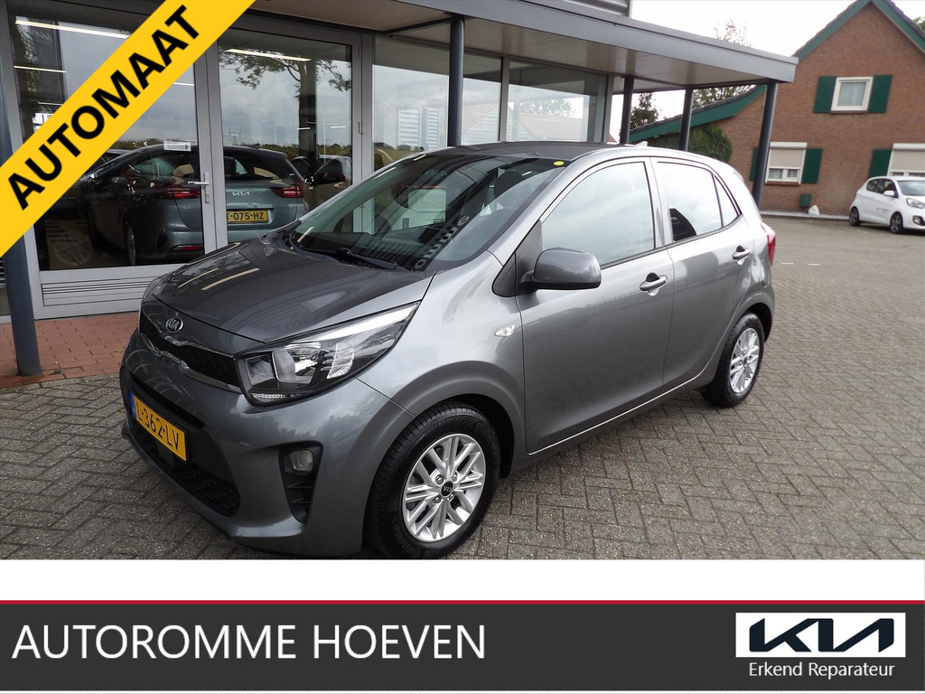 56229294